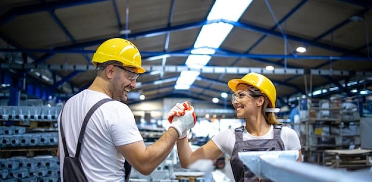 国内生产和进口替代作为重要工作领域